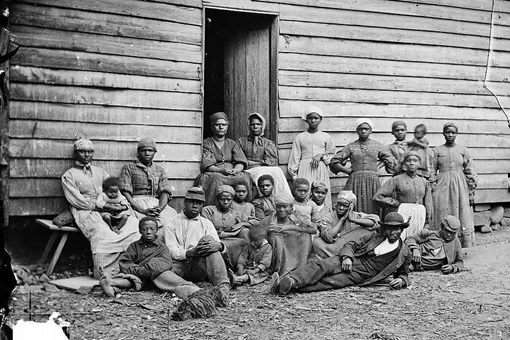 美国黑奴摘棉花是什么时候 美国是怎么强迫黑奴种植棉花的