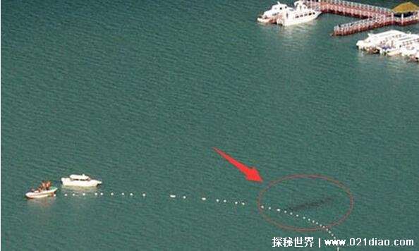 新疆喀纳斯湖水怪之谜真相，疑似长达15米的巨型哲罗鲑