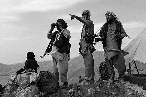从塔利班的发展历史来分析为什么塔利班得民心