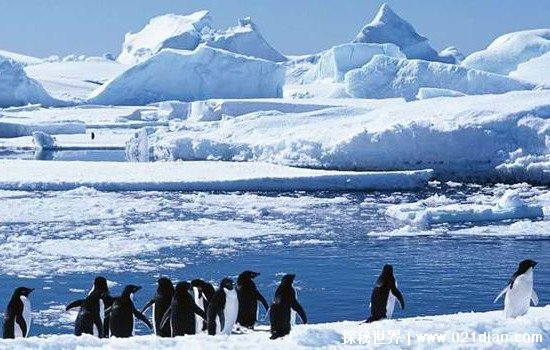 南极洲有哪些国家组成，地球上唯一没有人类居住的大陆