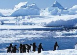 南极洲有哪些国家组成，地球上唯一没有人类居住的大陆