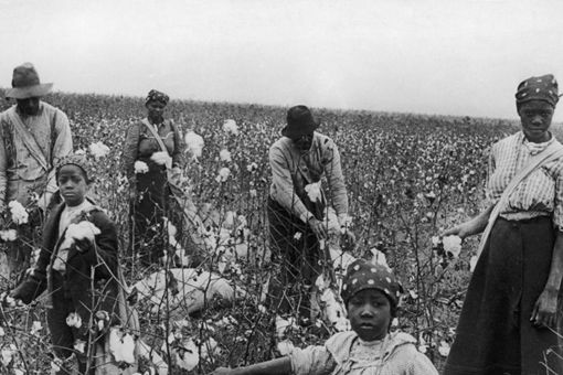 美国为什么废除奴隶制 美国废除奴隶制原因是什么