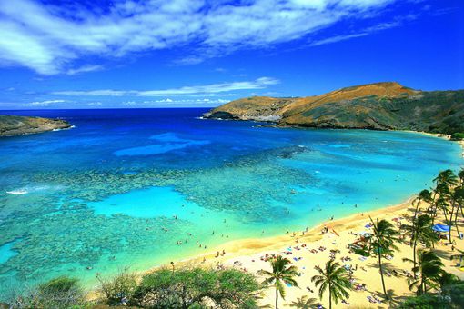 夏威夷为什么那么多日本人 夏威夷日本人多的原因是什么