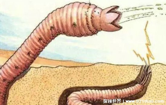 蒙古沙漠死亡之虫真的存在吗，当地居民谈之色变(疑似外星生物)